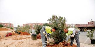 Comienza la reforestación de la Dehesa de Doña María Dehesa de Doña María