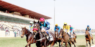 Mañana primera jornada de carreras nocturnas en el Hipódromo carreras nocturnas