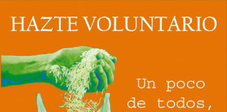 Se necesitan voluntarios para la Gran Recogida de Alimentos 2016 voluntarios