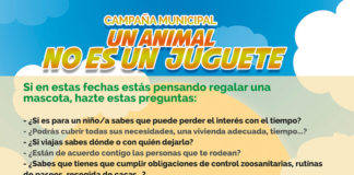 Campaña municipal con el lema ‘Un animal no es un juguete’ animal
