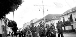 Brillante desfile de los cadetes y flechas de Falange en Utrera Falange