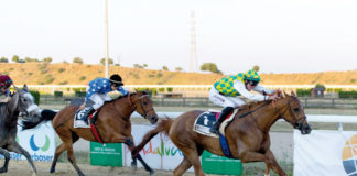 En mayo, vuelven las carreras de caballo al hipódromo Hipódromo
