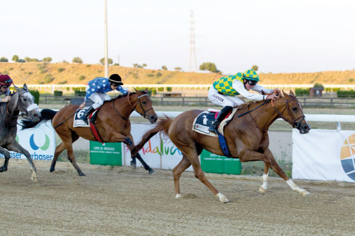 Hipódromo