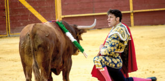 Este domingo, Antonio Nazaré regresa a la Maestranza para torear a los Miura Antonio Nazaré