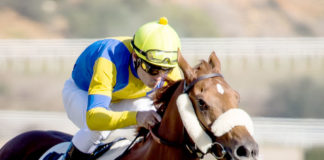 Captain Moonlite vuelve este domingo al Gran Hipódromo de Andalucía Captain Moonlite