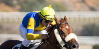 El jockey Borja Fayos buscará su victoria 500 en el Hipódromo Borja Fayos