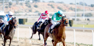 El Gran Hipódromo de Andalucía acoge el domingo una nueva jornada de carreras Gran Hipódromo de Andalucía