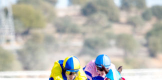 El gran favorito, Hipodamo de Mileto de Naniná, maravilló al Gran Hipódromo de Andalucía Hipodamo