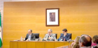 Dos Hermanas elaborará un reglamento de regulación de las asignaciones a los grupos políticos reglamento de regulación
