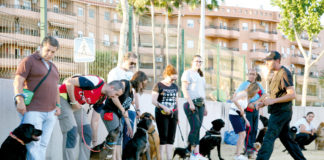 Nuevas Escuelas Formativas y Talleres de Participación Ciudadana Escuelas Formativas y Talleres de Participación Ciudadana