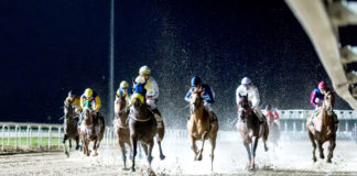 Nueva cita con las carreras nocturnas en el Gran Hipódromo de Andalucía Gran Hipódromo de Andalucía