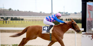 Las carreras de mañana en el Hipódromo se adelantan a las 19.00 horas Hipódromo