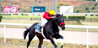 Termina la temporada de primavera del Gran Hipódromo de Andalucía Gran Hipódromo de Andalucía
