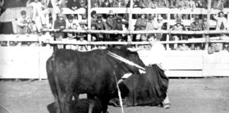 Macandro: nombre de un barco escocés para un torero de Dos Hermanas Macandro