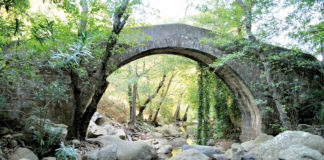 Senderismo Joven estará el domingo en el Río de la Miel y Algeciras Senderismo Joven