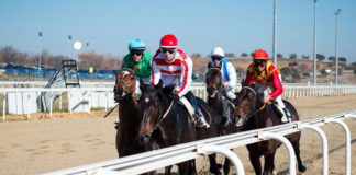 Vuelven las carreras de caballos al Gran Hipódromo de Andalucía Gran Hipódromo de Andalucía
