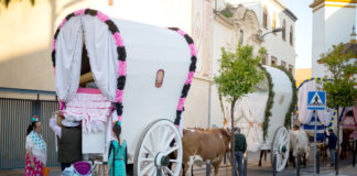 La Operación Carreta de recogida de alimentos se celebra el sábado Operación Carreta