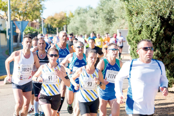 Media Maratón Tierra y Olivo