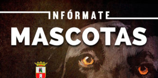 Charlas gratuitas sobre Mascotas en las entidades vecinales Mascotas