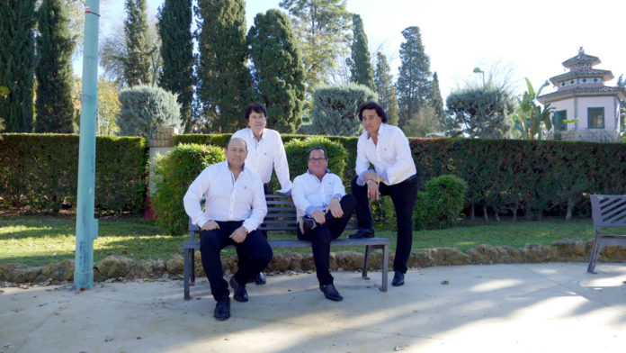 alborea Festival solidario en Vistazul