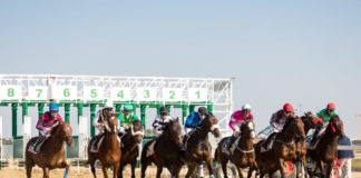 El Gran Hipódromo de Andalucía acoge el sábado su primera jornada de 2019 Gran Hipódromo de Andalucía