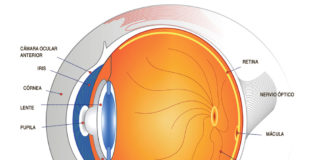 Clínica Dr. Martín implanta la lente trifocal para problemas oculares Clínica Dr. Martín