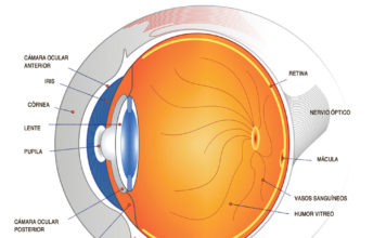 Clínica Dr. Martín implanta la lente trifocal para problemas oculares Clínica Dr. Martín