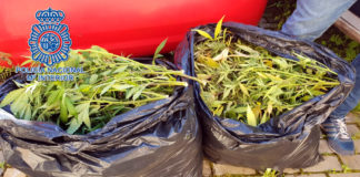 La Policía Nacional detiene a un hombre con dos bolsas de marihuana dos bolsas de marihuana