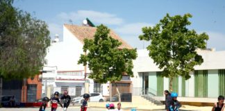 «Grises» pone punto y final al curso de patinaje del CEIP Carlos I «Grises»