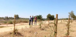 Un corredor verde por el Guadaíra une Sevilla y Dos Hermanas corredor verde por el Guadaíra