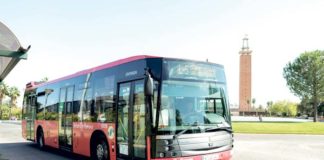 La gestión del Servicio de Transporte Urbano, a concurso Servicio de Transporte Urbano