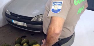 Dos nazarenos investigados por robo de uvas y melones Dos nazarenos investigados