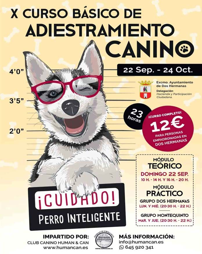 xcurso-adiestramiento-canino X Curso de Adiestramiento Canino