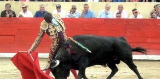 «I Jornada Taurina de Dos Hermanas» para el 7 de noviembre Jornada Taurina de Dos Hermanas