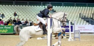 Patrocinio de la Marca Dos Hermanas en el SICAB 2019 Patrocinio de la Marca Dos Hermanas