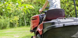 Curso de Jardinería dirigido a mujeres desempleadas curso de Jardinería