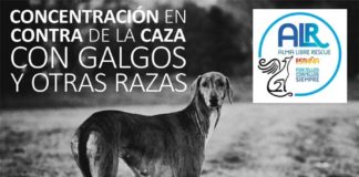 Concentración de Alma Libre Rescue contra el uso de galgos para cazar Alma Libre Rescue