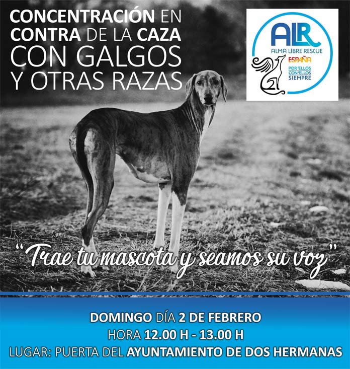 concentracion-galgos Alma Libre Rescue