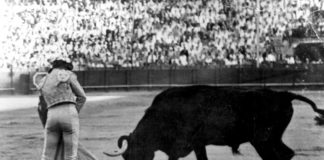 Joselito Montero ‘Sidranda’ o la mala sombra de torear a orillas del río Orinoco Joselito Montero