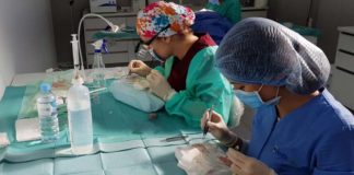 La técnica de injerto capilar más avanzada, en Clínicas Model Bell injerto capilar