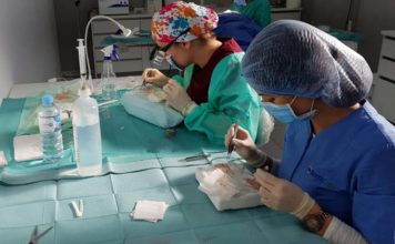 La técnica de injerto capilar más avanzada, en Clínicas Model Bell injerto capilar
