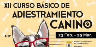 El XII Curso Básico de Adiestramiento Canino tendrá un turno en fin de semana XII Curso Básico de Adiestramiento Canino