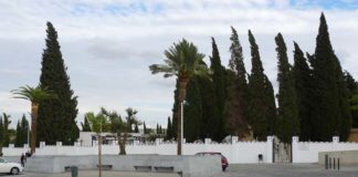 El cementerio de San Pedro reabre sus puertas al público El cementerio de San Pedro