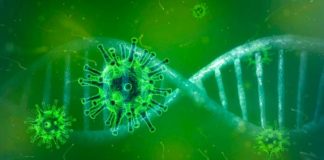 Coronavirus: recomendaciones oficiales e información detallada ministerial 567 casos de COVID-19