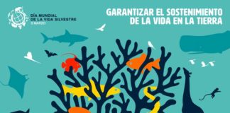 El Día Mundial de la Vida Silvestre se celebra en la Laguna de Fuente del Rey Día Mundial de la Vida Silvestre