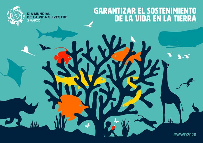 dia-vida-silvestre-lalaguna Día Mundial de la Vida Silvestre