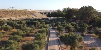 A vista de pájaro. El parque forestal Dehesa de Doña María continúa su desarrollo