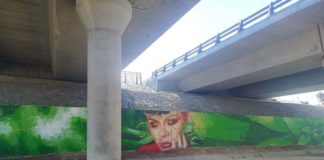 «Vida de ecosistemas terrestres», murales artísticos en los bajos de la SE-40 Vida de ecosistemas terrestres