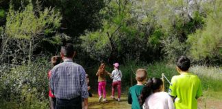 El parque forestal y la Laguna de Fuente del Rey, en los proyectos del PFEA PFEA