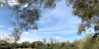 La Laguna de Fuente del Rey reabre hoy sus puertas La Laguna de Fuente del Rey